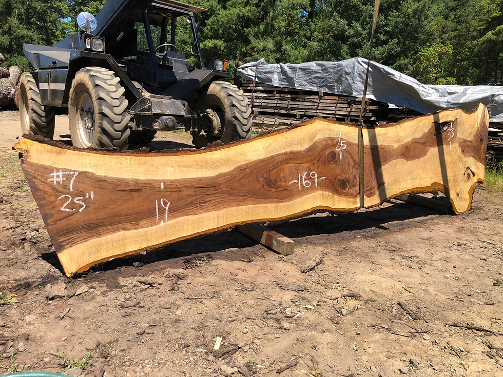Thumbnail: Black Walnut 062322-7