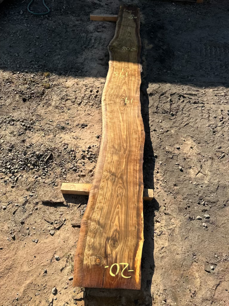Thumbnail: Black Walnut 091323-15