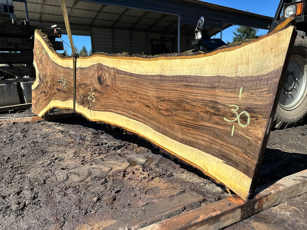 Thumbnail: Black Walnut 031424-8