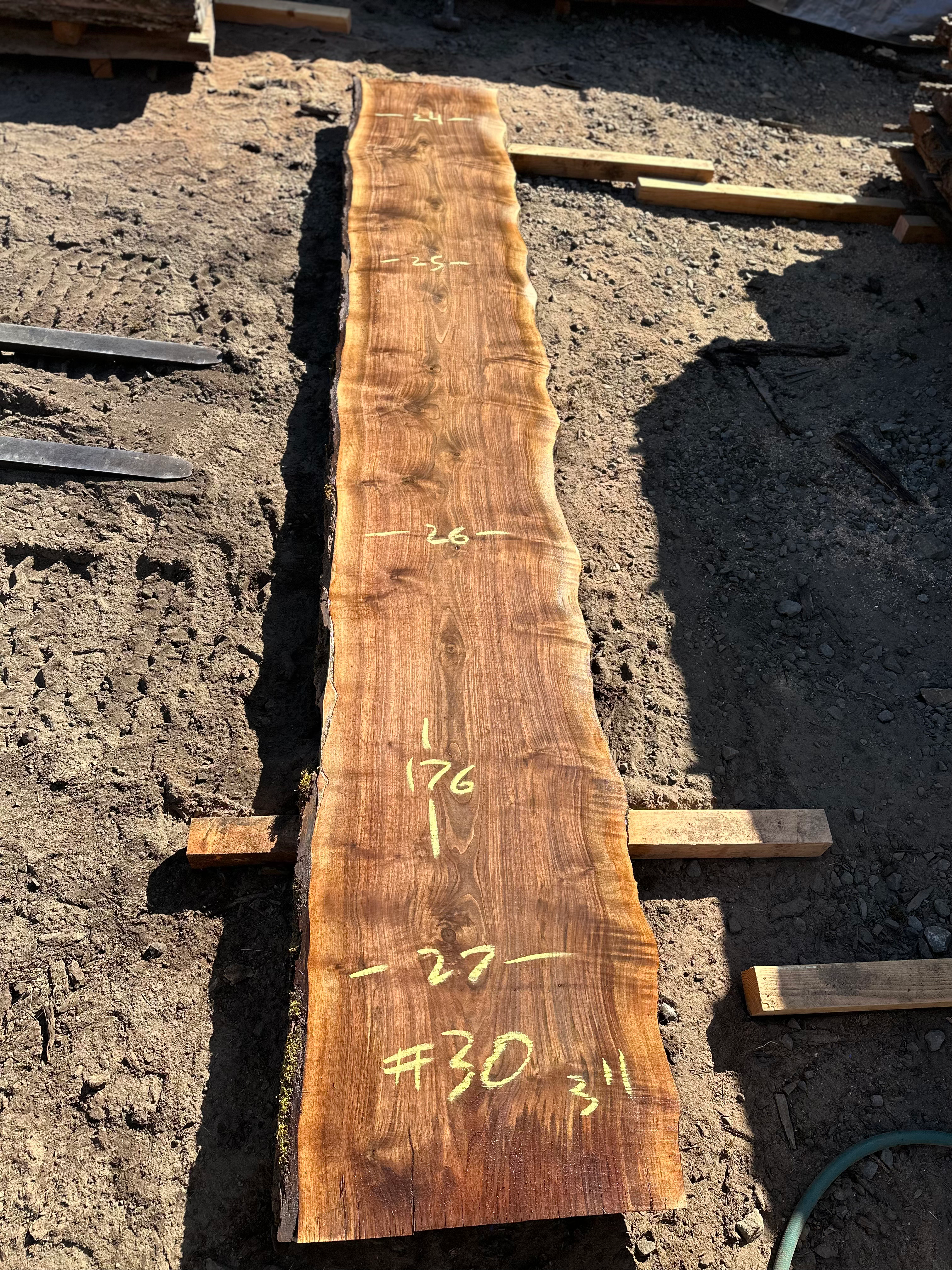 Black Walnut 091323-30