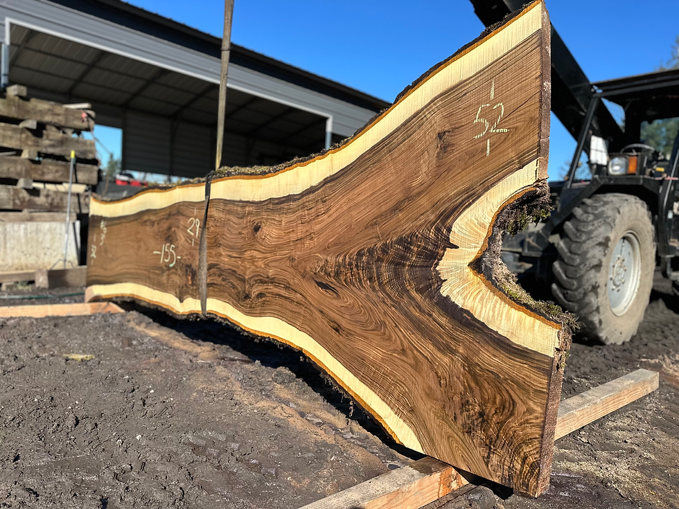 Thumbnail: Black Walnut 031424-6