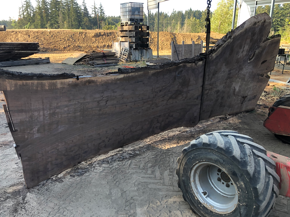 Thumbnail: Black Walnut 082522-9