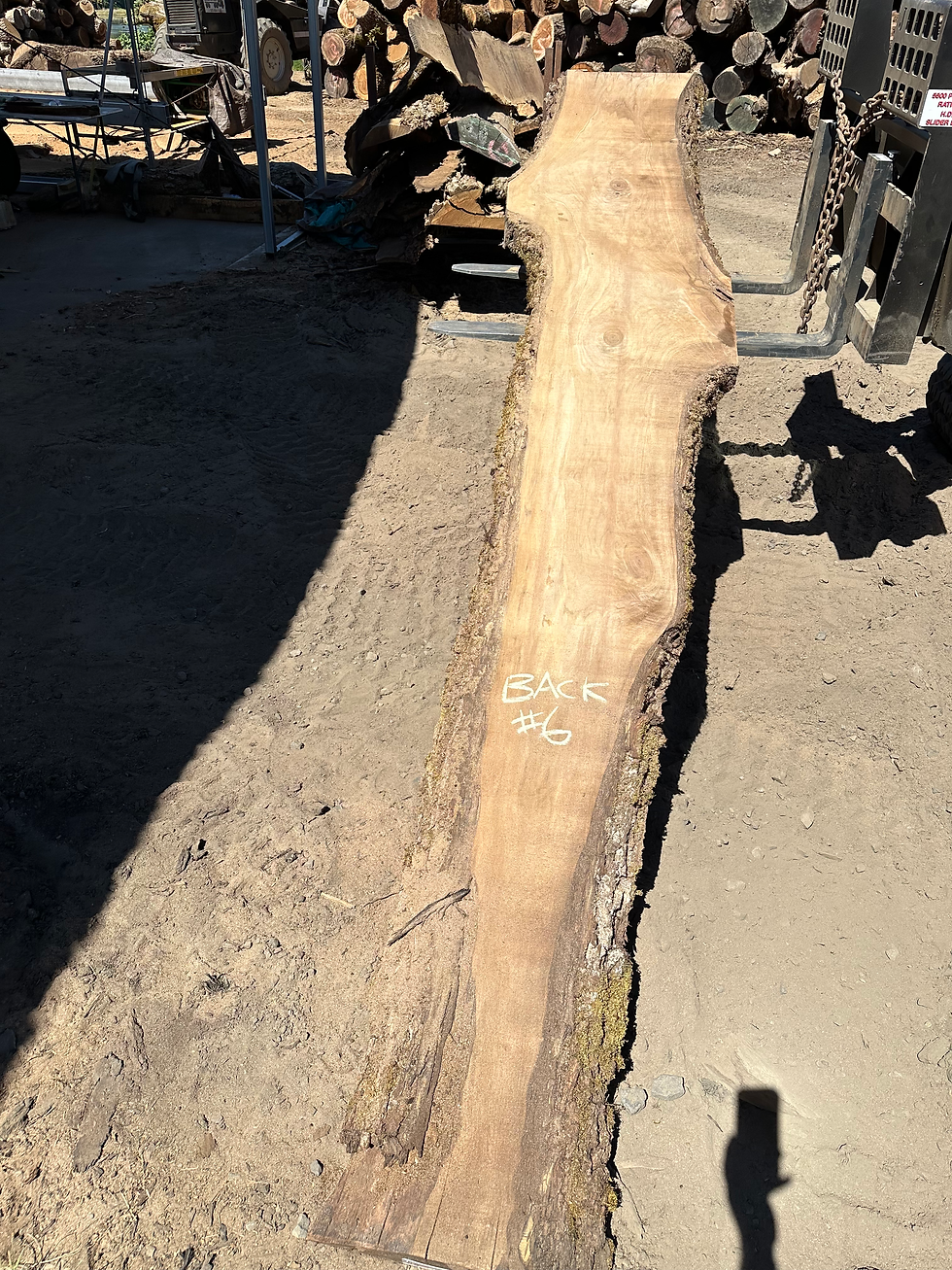 Thumbnail: Black Walnut 081023-6