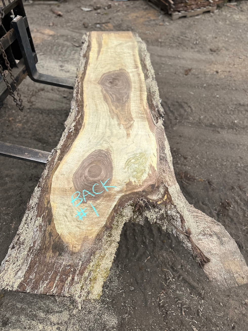 Thumbnail: Bastogne Walnut 052824-1
