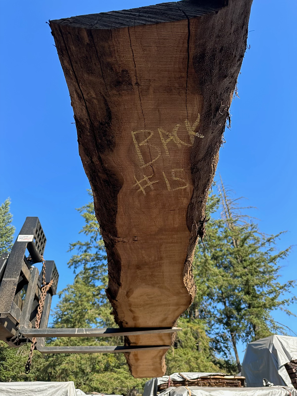 Thumbnail: Black Walnut 091323-15