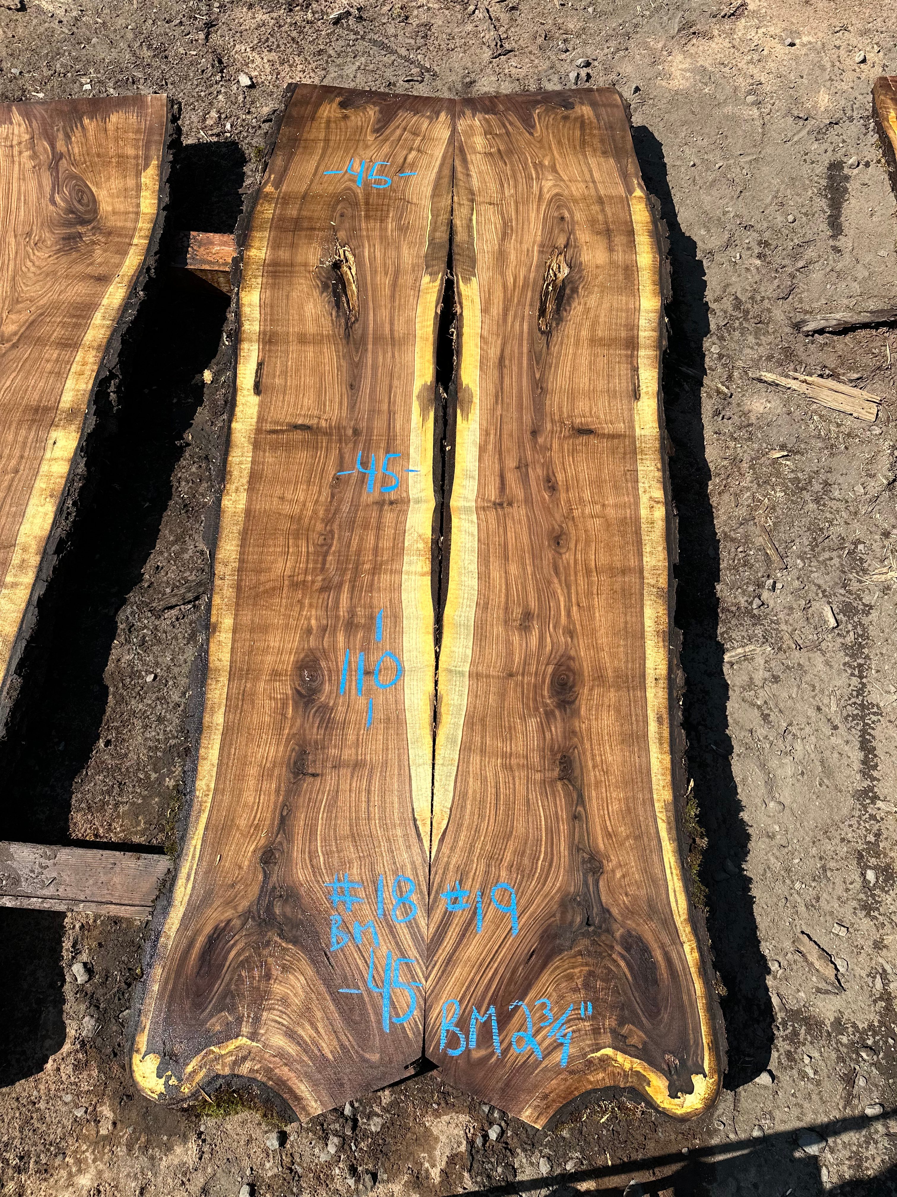 Black Walnut Bookmatch 090324-18/19