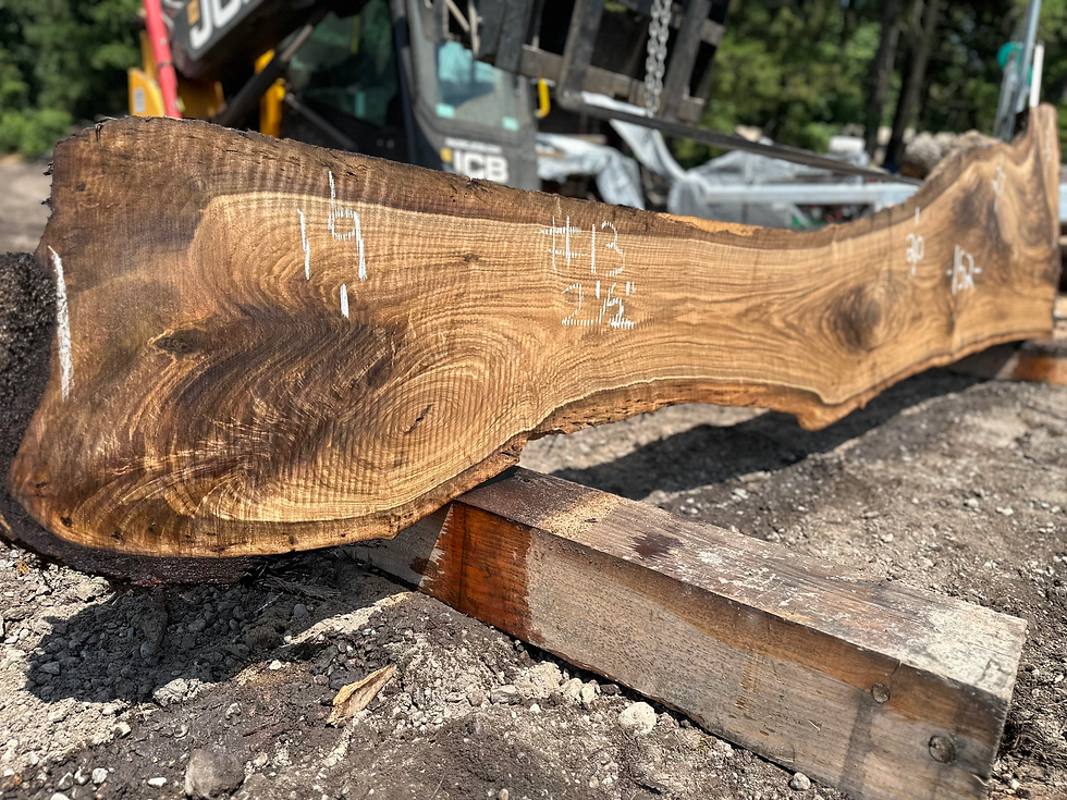 Thumbnail: Black Walnut 061725-13