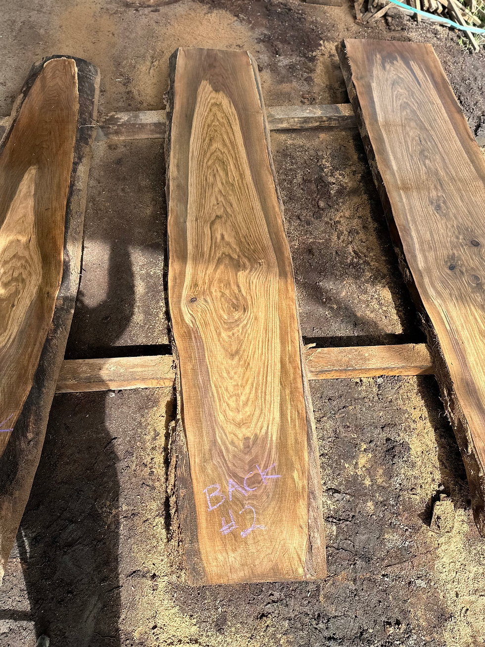 Thumbnail: Black Walnut 031825-2