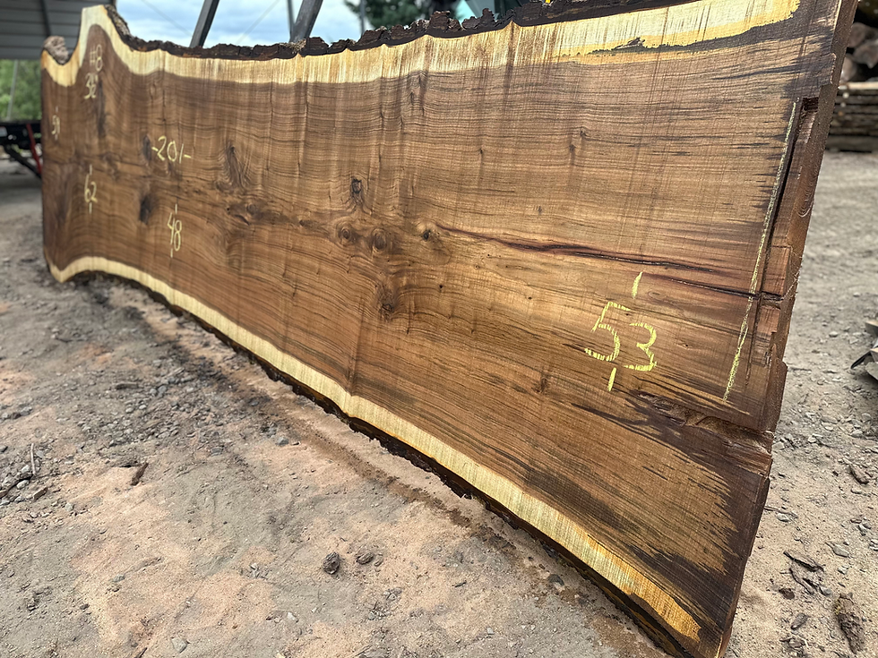 Thumbnail: Black Walnut 060723-8