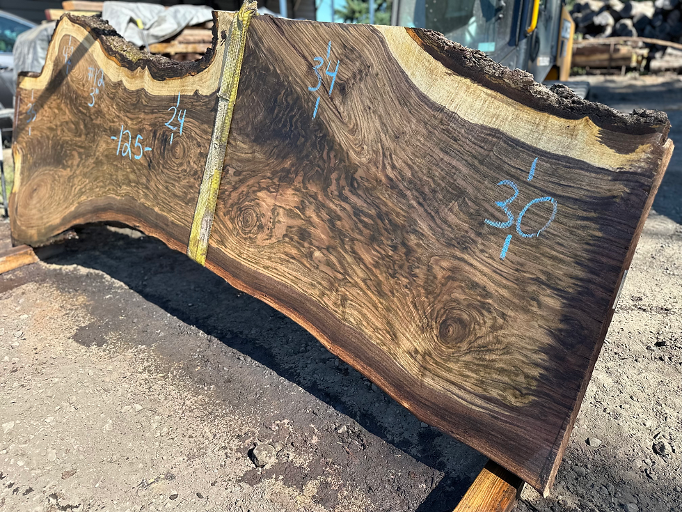 Thumbnail: Black Walnut 062525-12