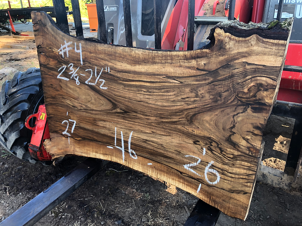 Thumbnail: Black Walnut 072622-4
