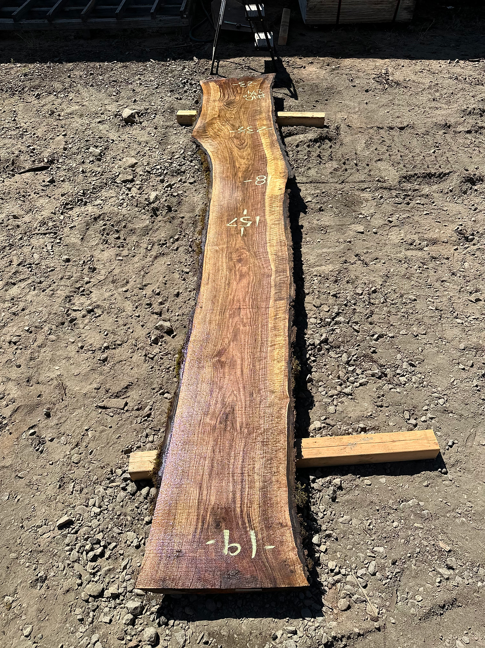 Thumbnail: Black Walnut 081023-10