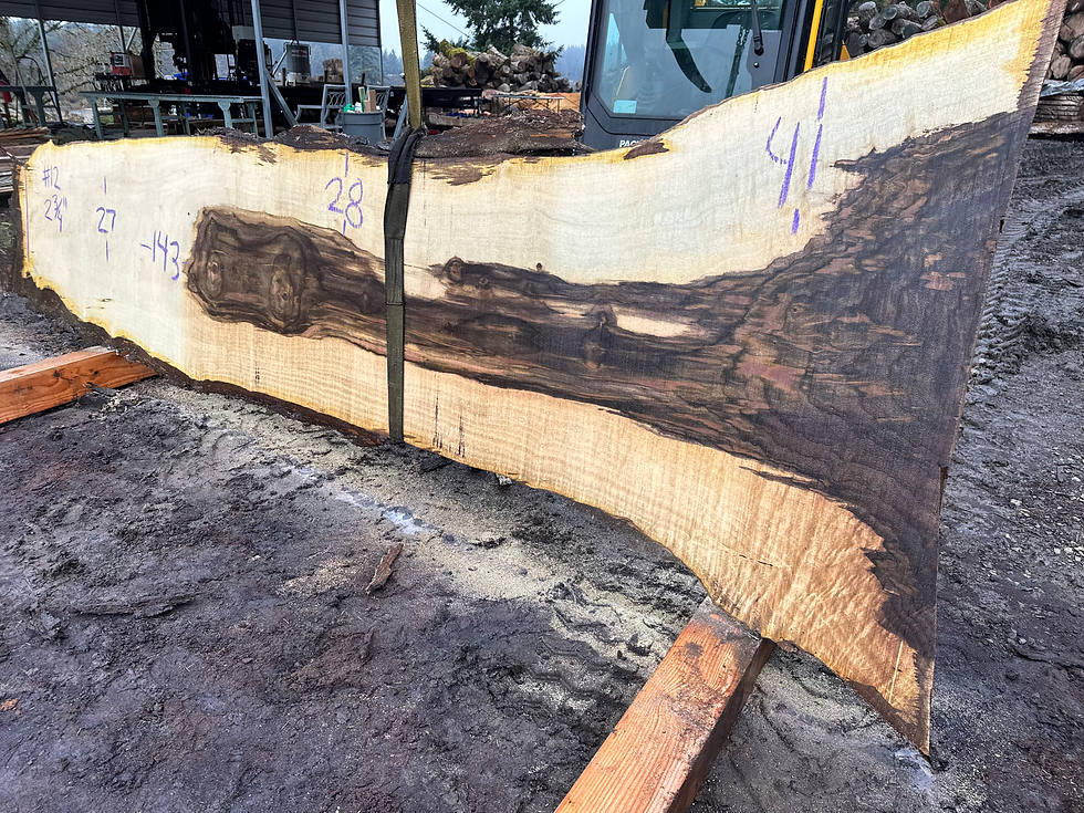Thumbnail: Black Walnut 111723-12