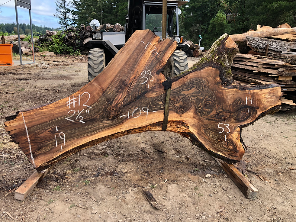 English Walnut 072022-12