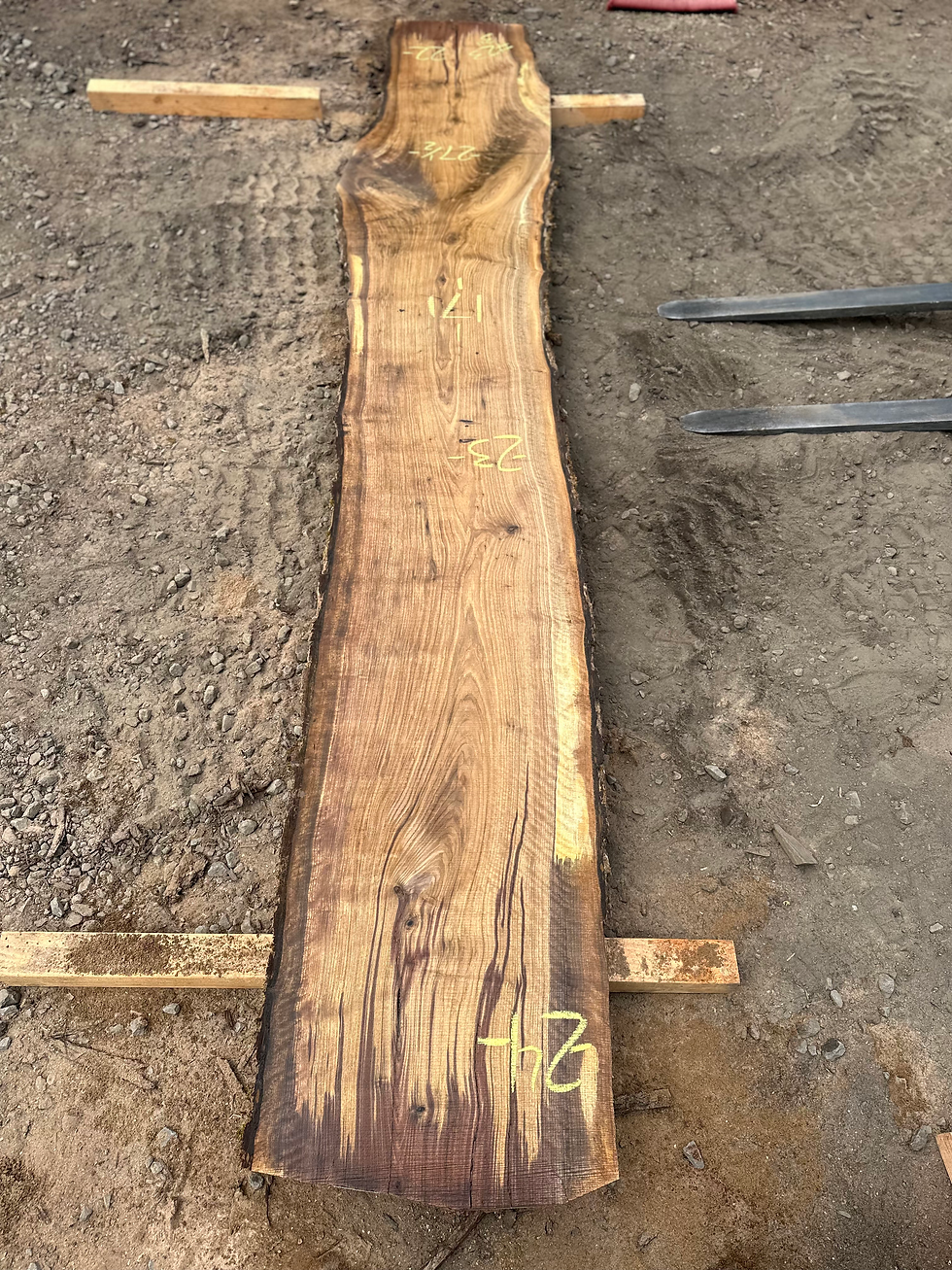 Thumbnail: Black Walnut 091323-23