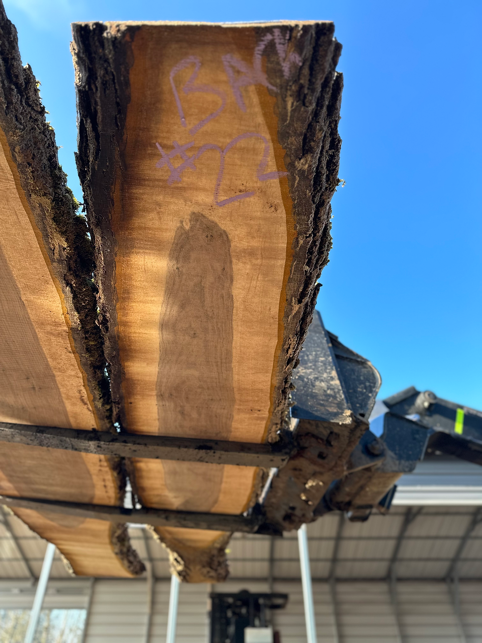 Thumbnail: Black Walnut Bookmatch 012323-21/22
