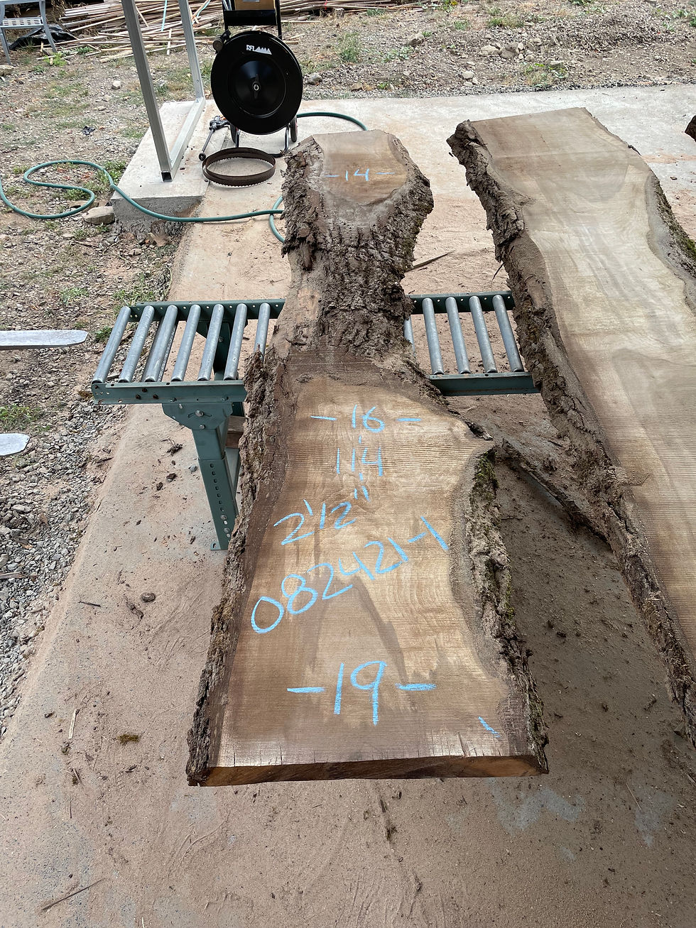 Thumbnail: Black Walnut 082421-1