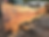 Thumbnail: Maple 101923-9