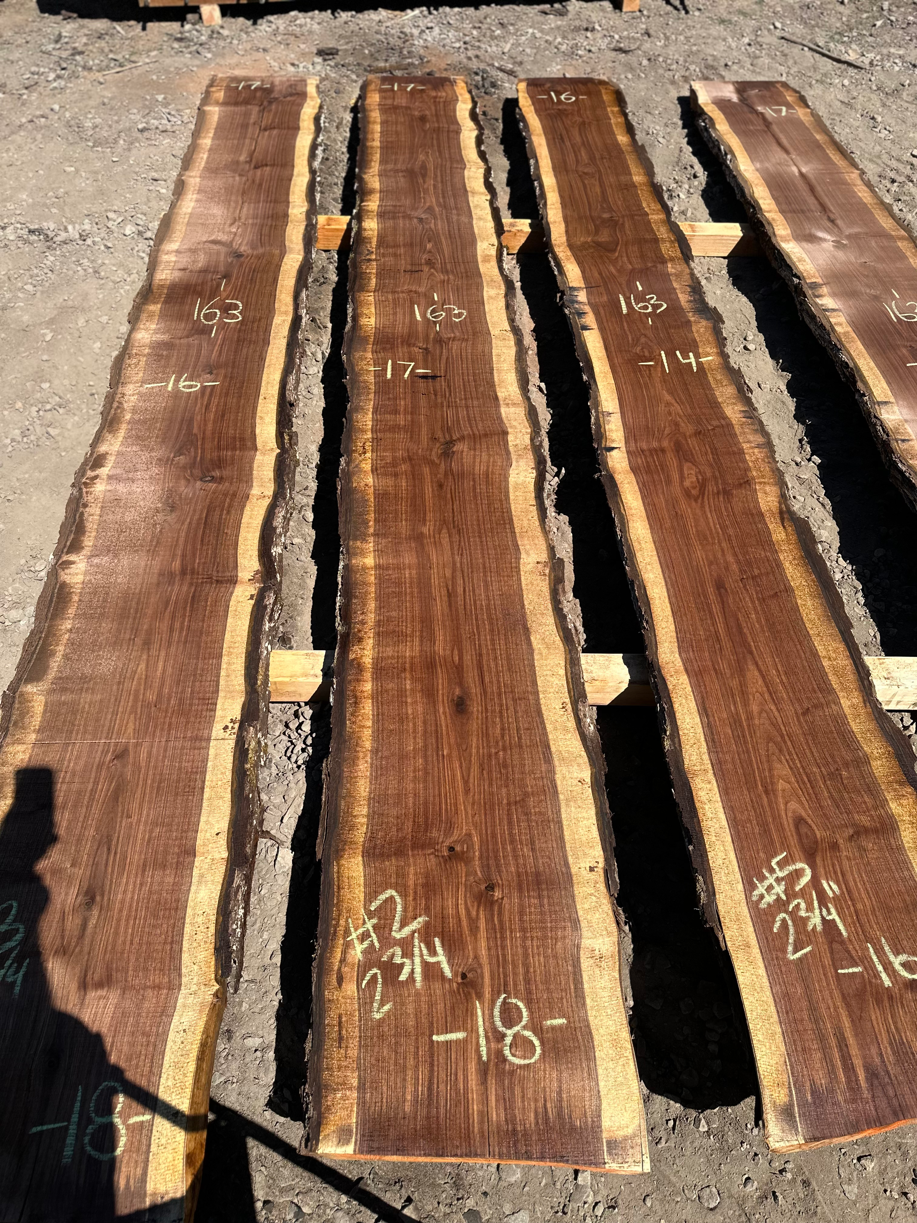Black Walnut 081023-2