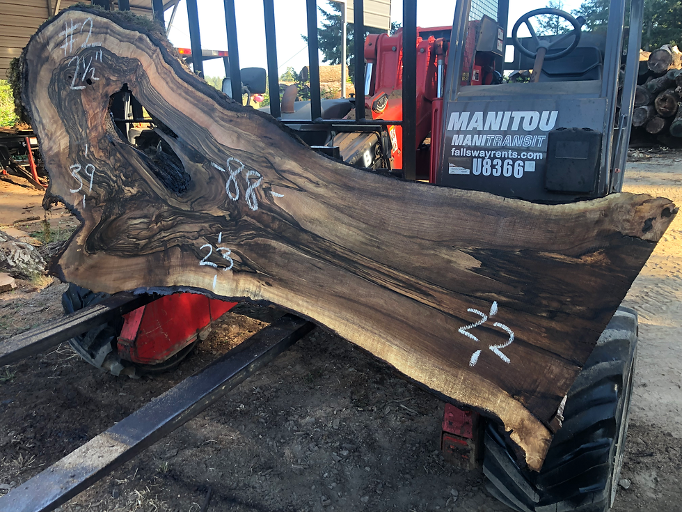 Thumbnail: Black Walnut 072622-2