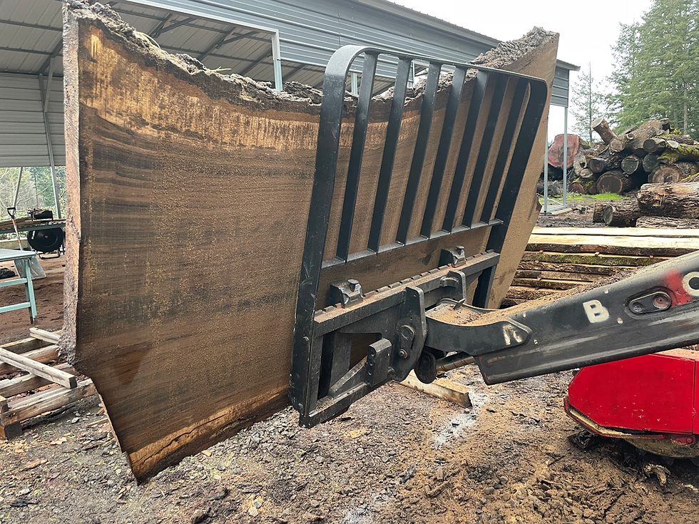 Thumbnail: Black Walnut 011022-11