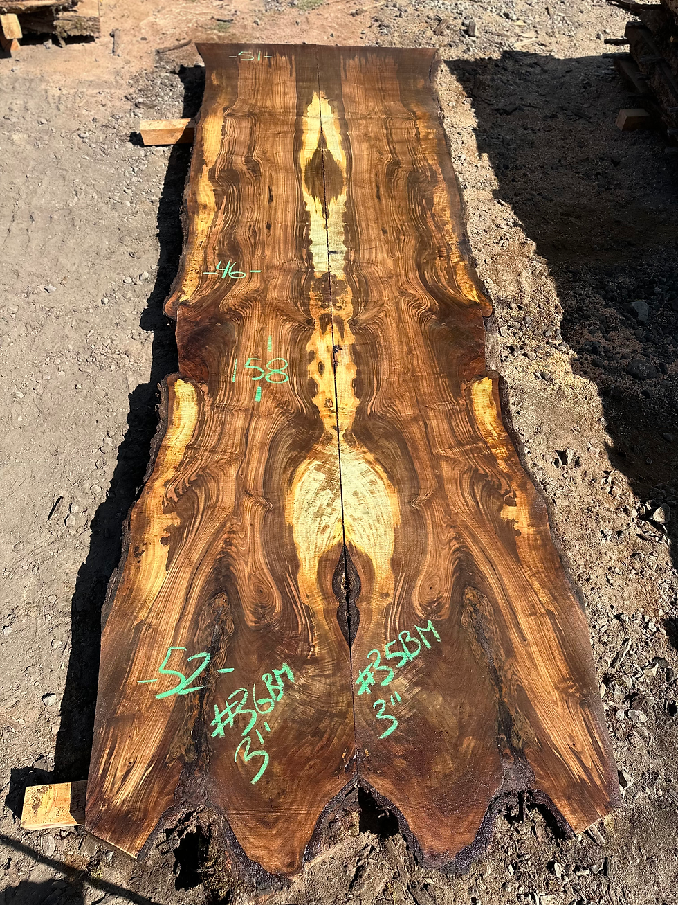 Thumbnail: Bastogne Walnut Bookmatch 091323-35/36