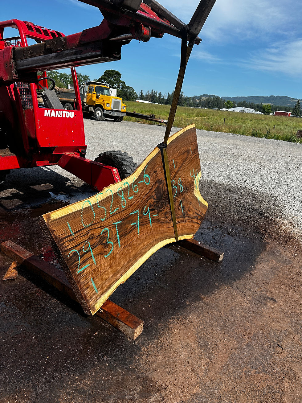 Thumbnail: CURLY Claro Walnut 052826-6