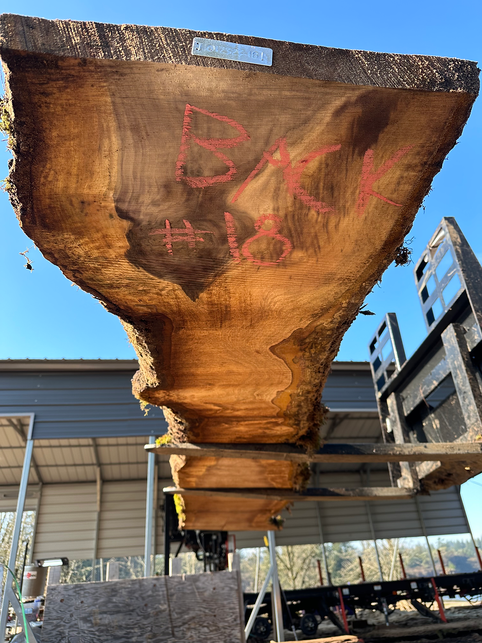 Thumbnail: Black Walnut 012323-18