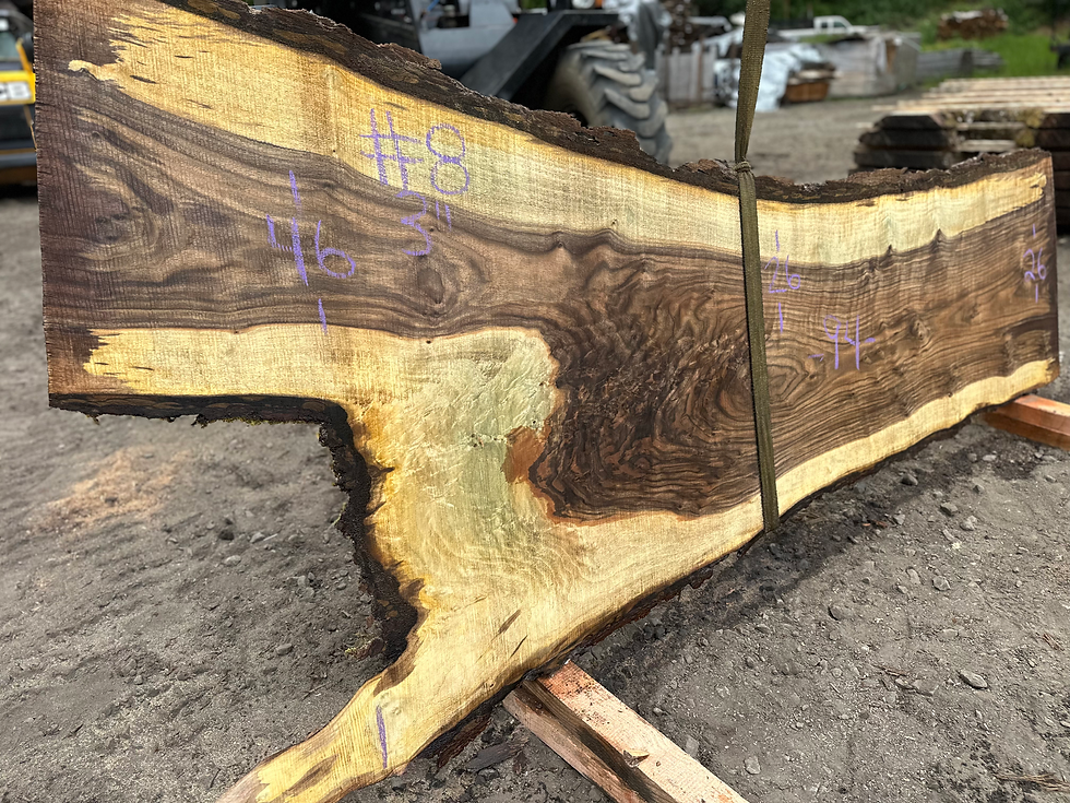 Thumbnail: Bastogne Walnut 052824-8