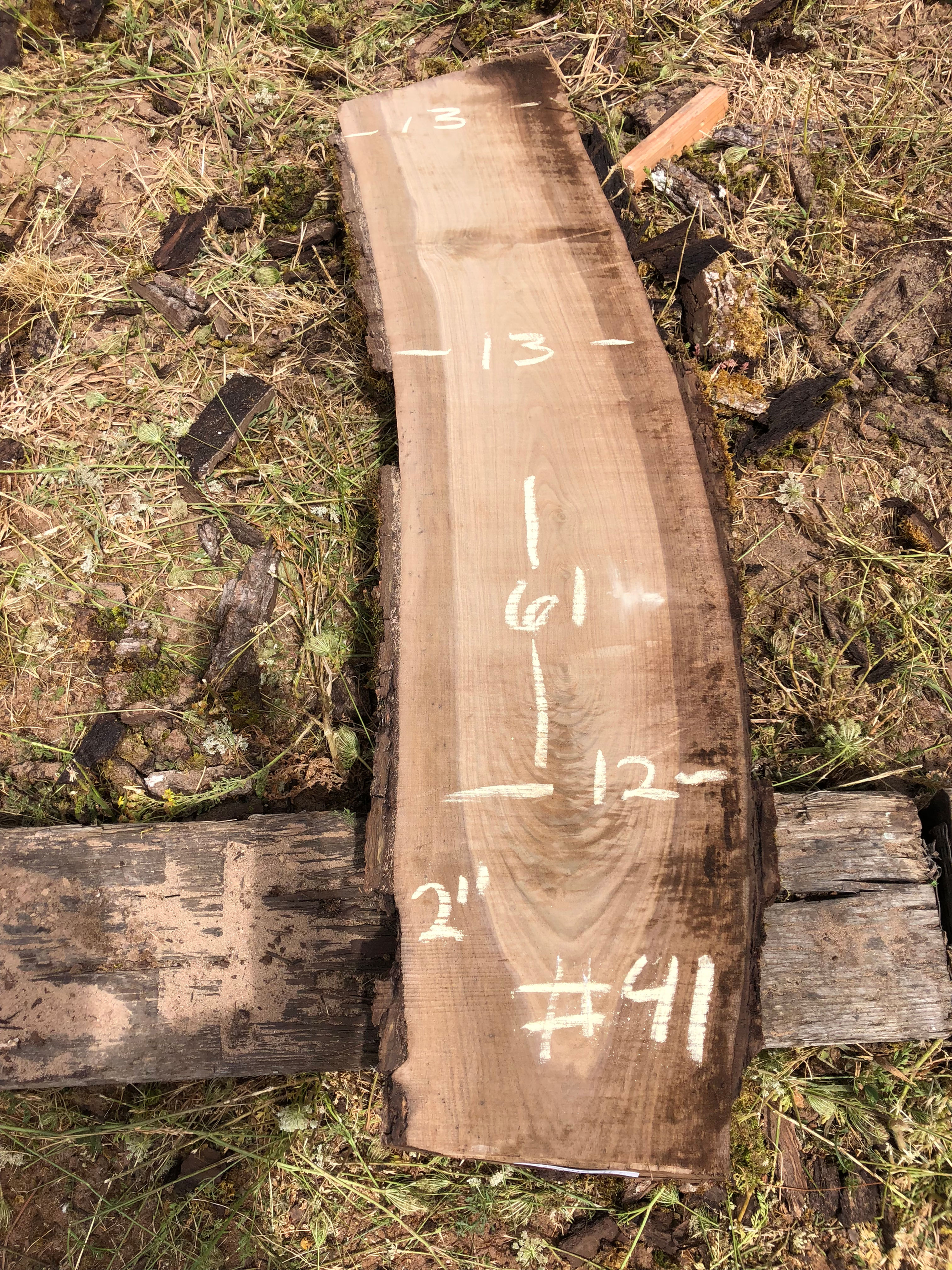 Black Walnut 081118-41