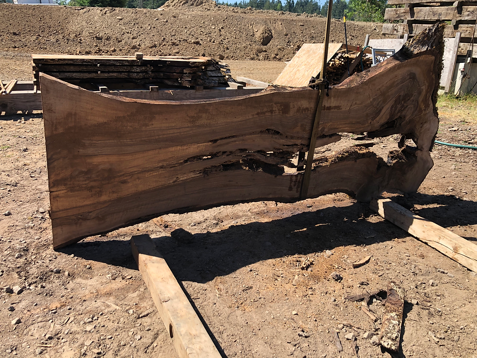 Thumbnail: English Walnut 071922-5