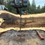 Thumbnail: Curly Bastogne Walnut 112923-6