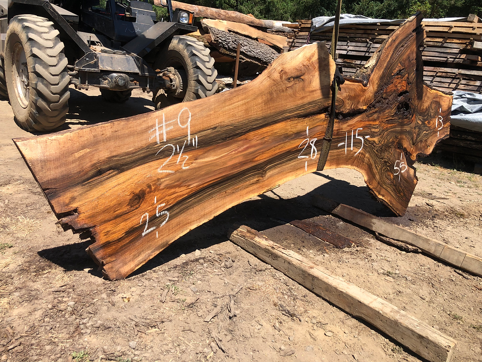 Thumbnail: English Walnut 072022-9