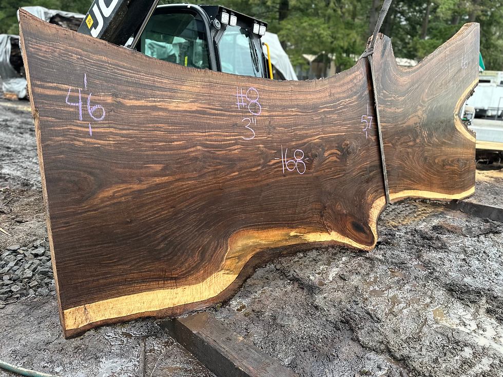 Thumbnail: Bastogne Walnut 121824-8