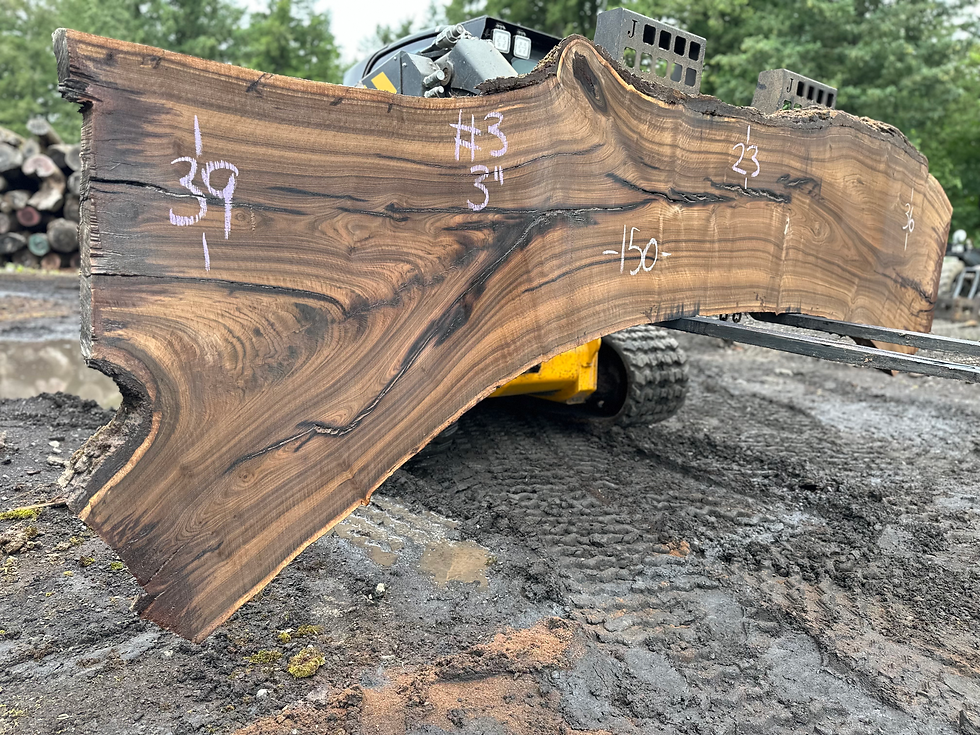 Thumbnail: Black Walnut 060324-3