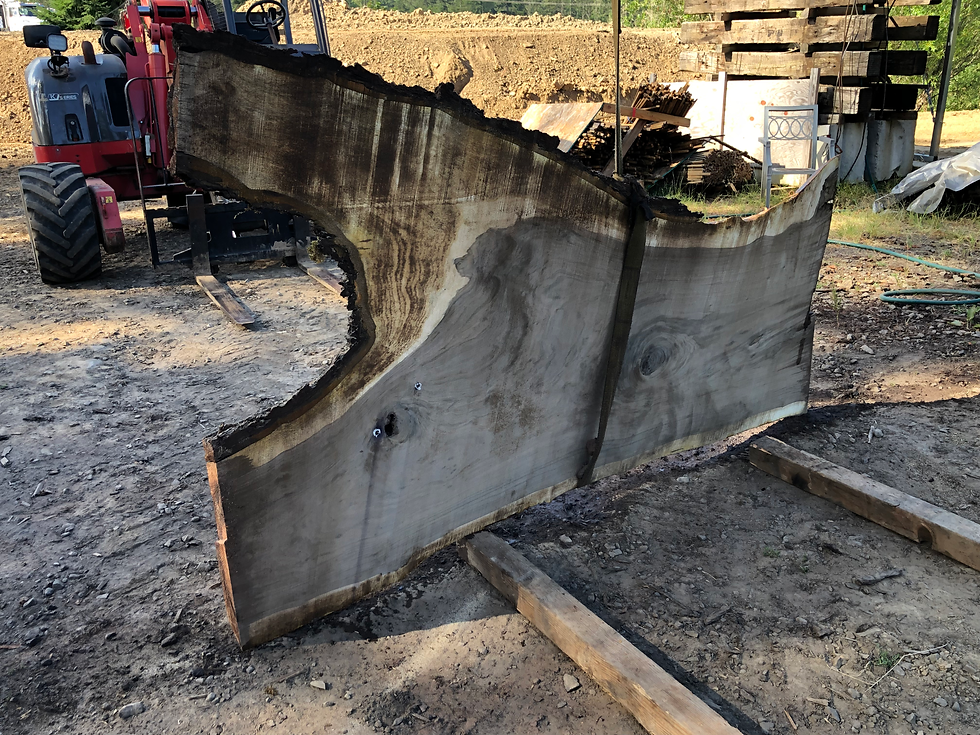 Thumbnail: Black Walnut 071322-2