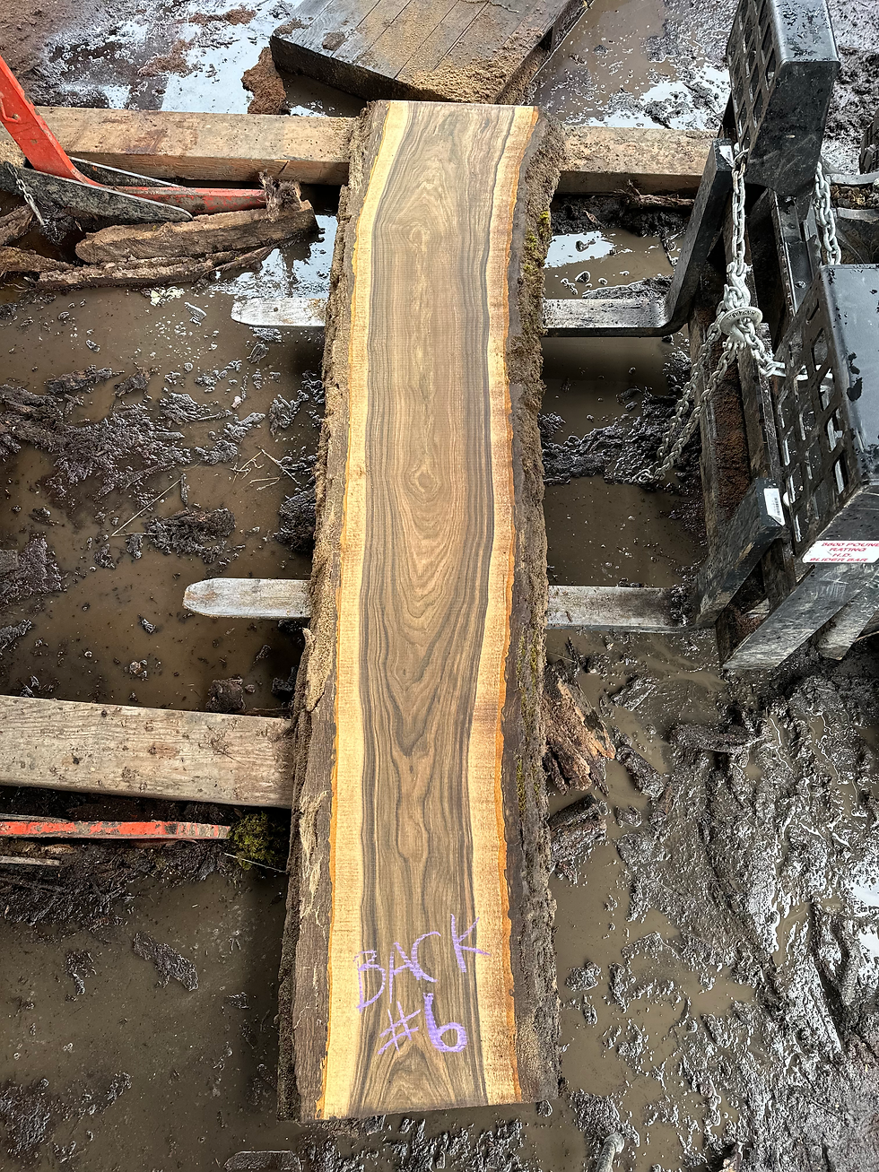 Thumbnail: Black Walnut 031125-6