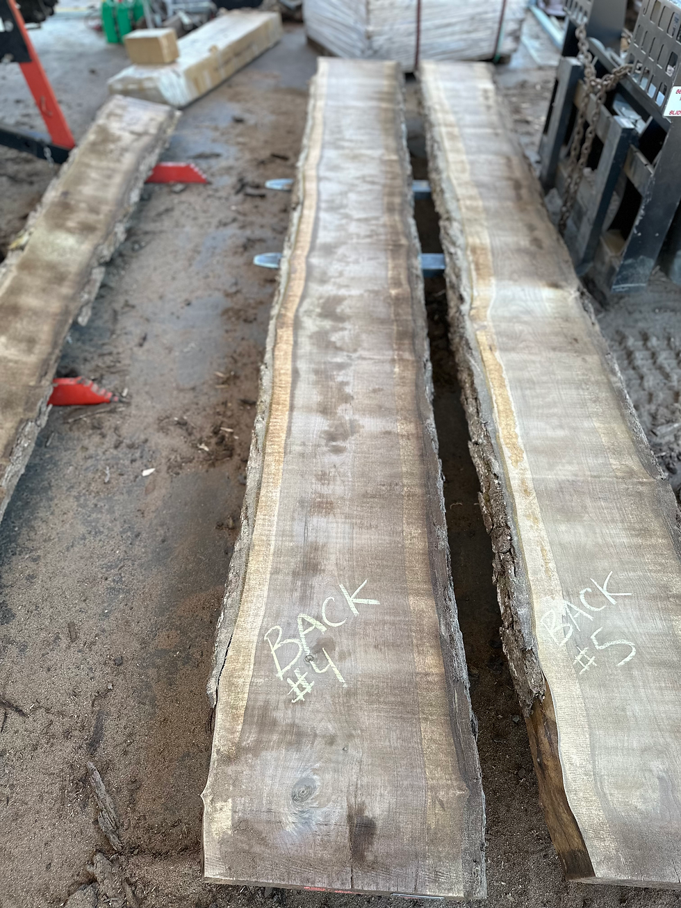 Thumbnail: Black Walnut 081023-4