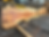 Thumbnail: Maple 101923-8