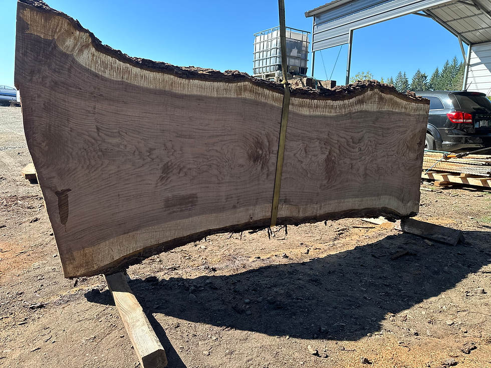 Thumbnail: Black Walnut 082324-3