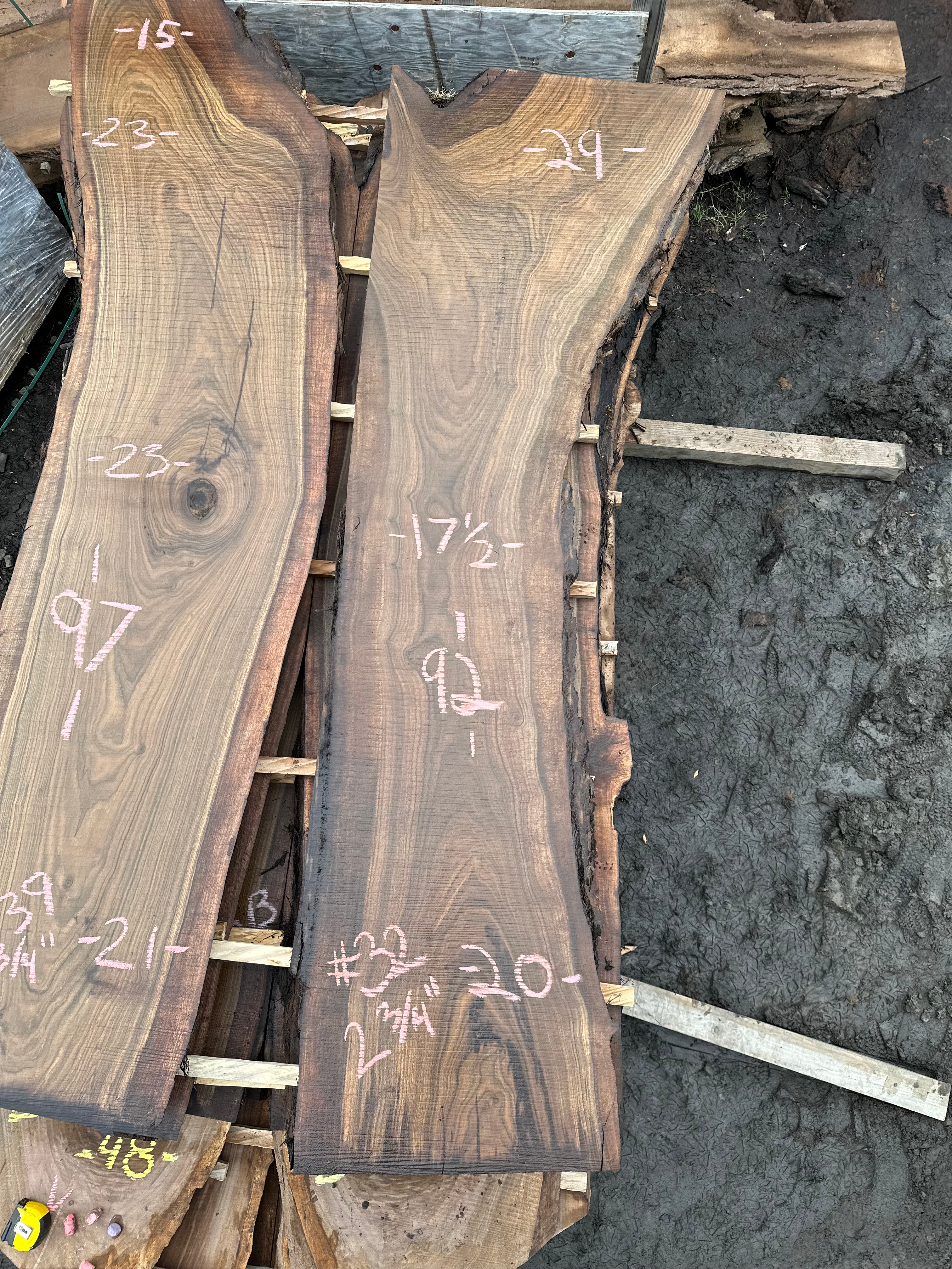 Black Walnut 012323-32