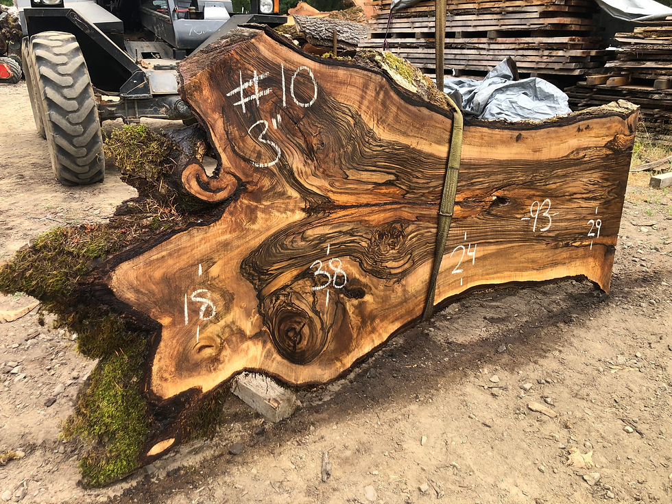 Thumbnail: English Walnut 071522-10