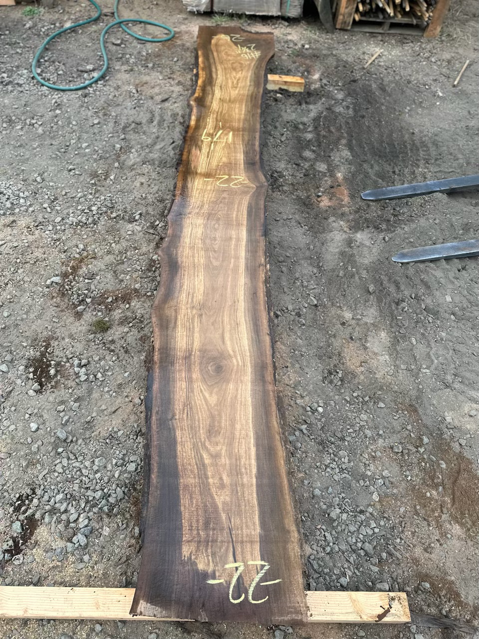 Thumbnail: Black Walnut 091323-16