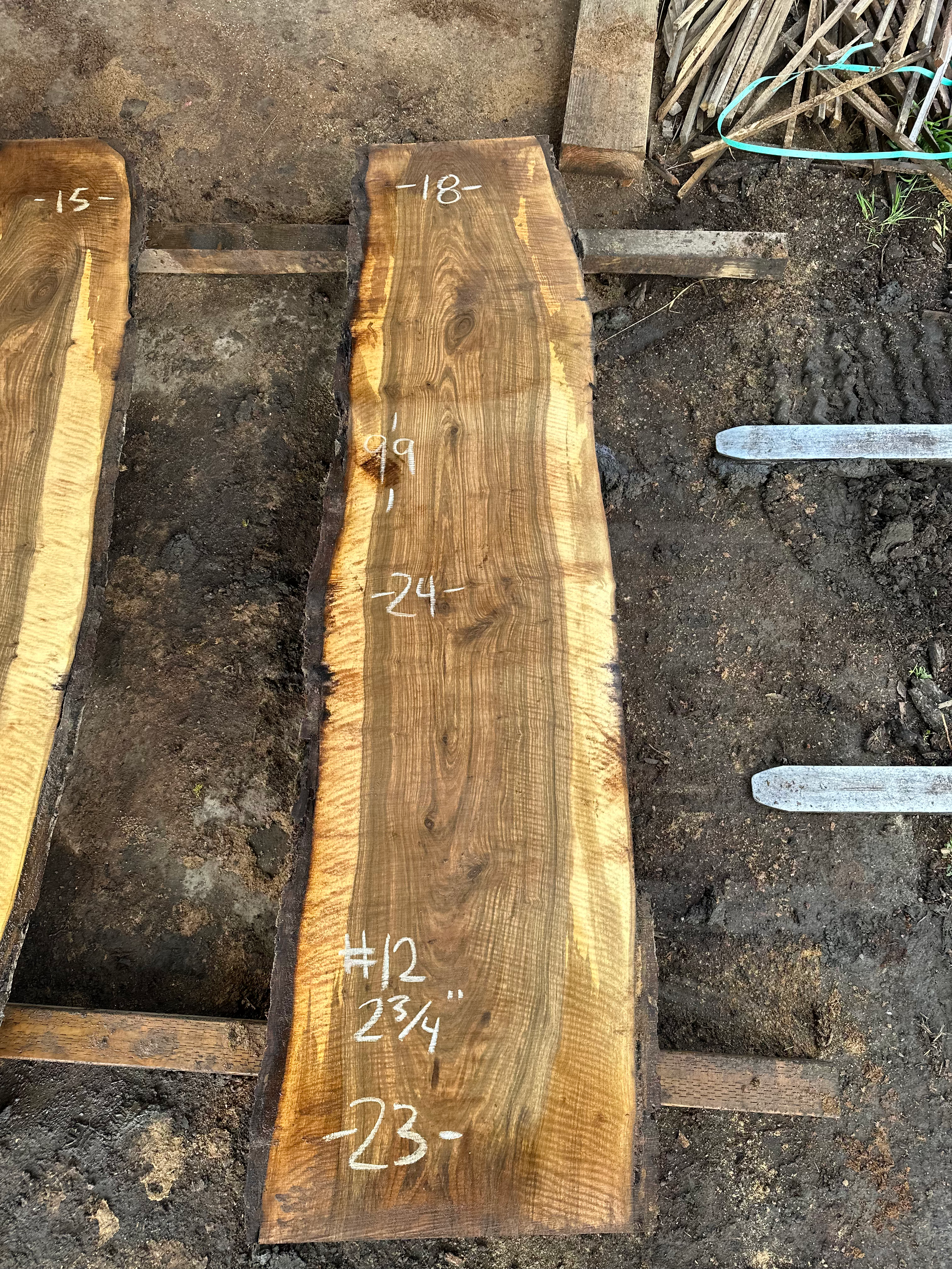 Curly Bastogne Walnut 031125-12