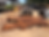 Thumbnail: Curly Black Walnut 080822-16