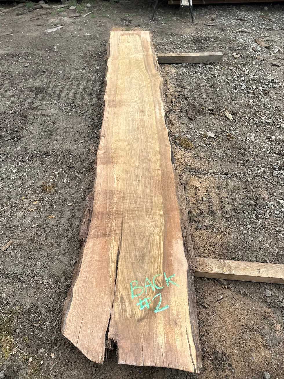 Thumbnail: Black Walnut 090723-2