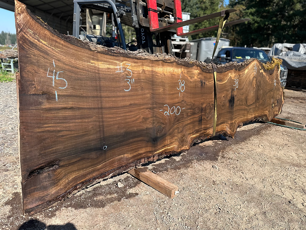 Thumbnail: Black Walnut 092325-3