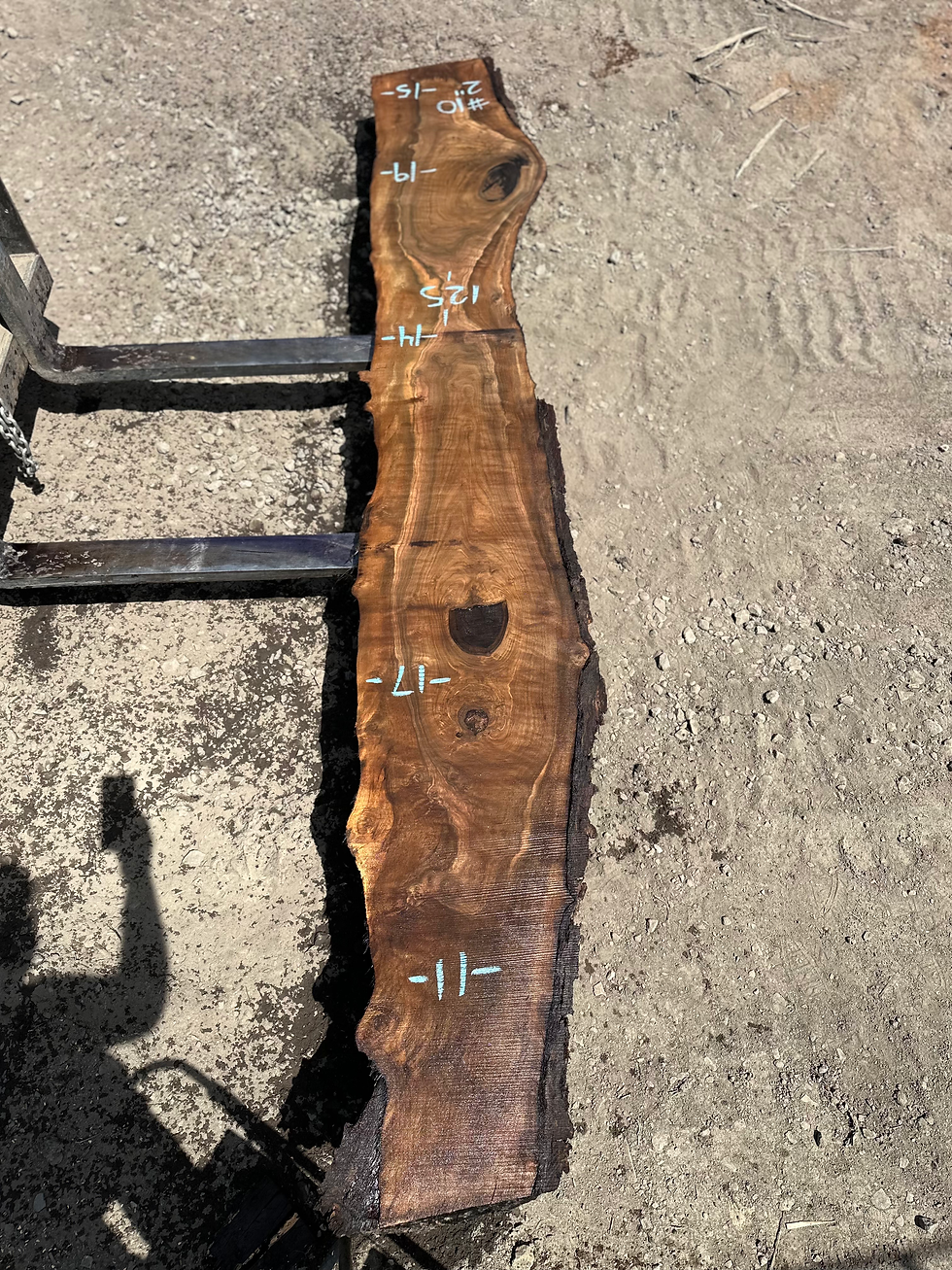 Thumbnail: Curly Black Walnut 061025-10