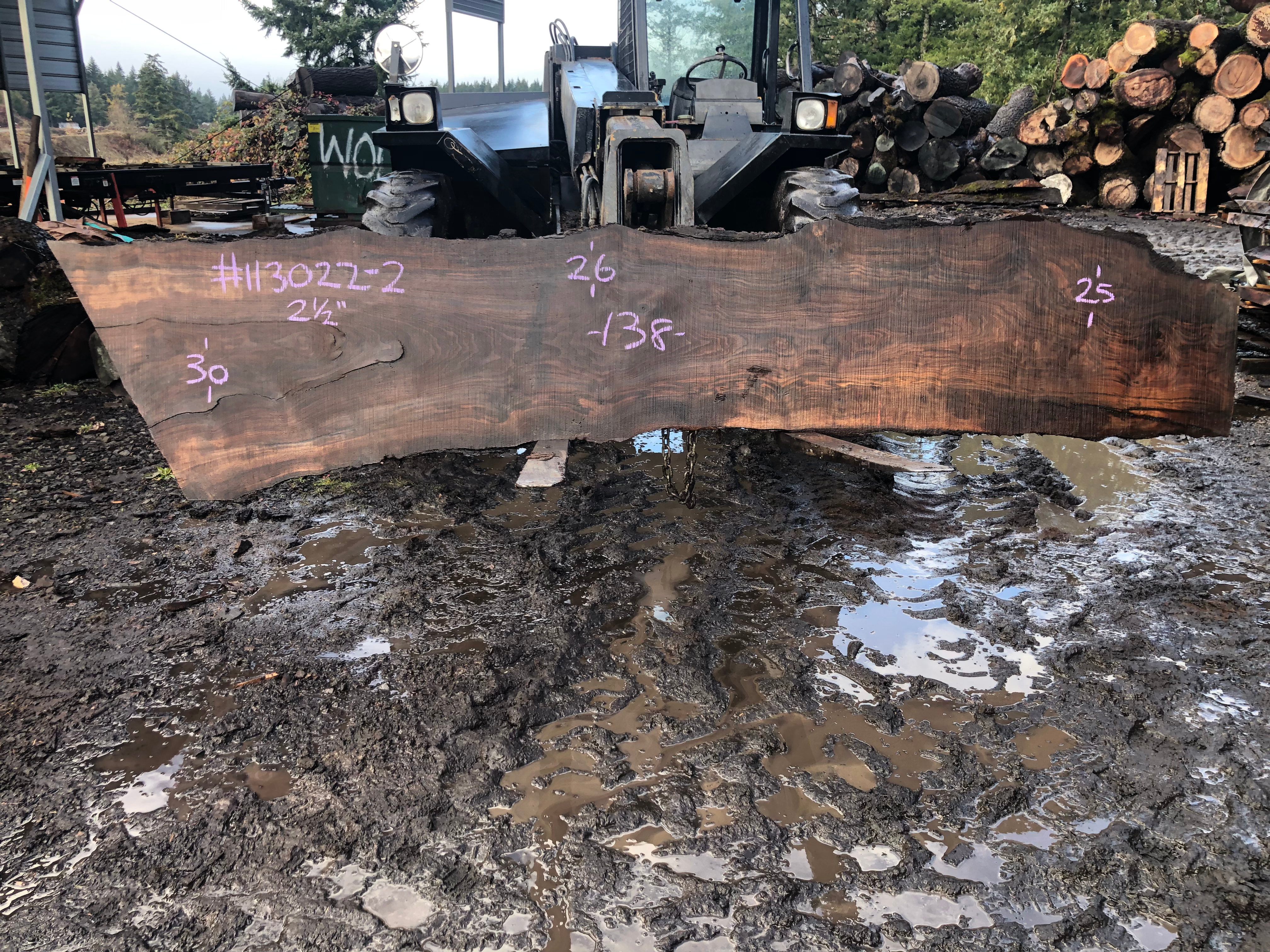 Black Walnut 113022-2