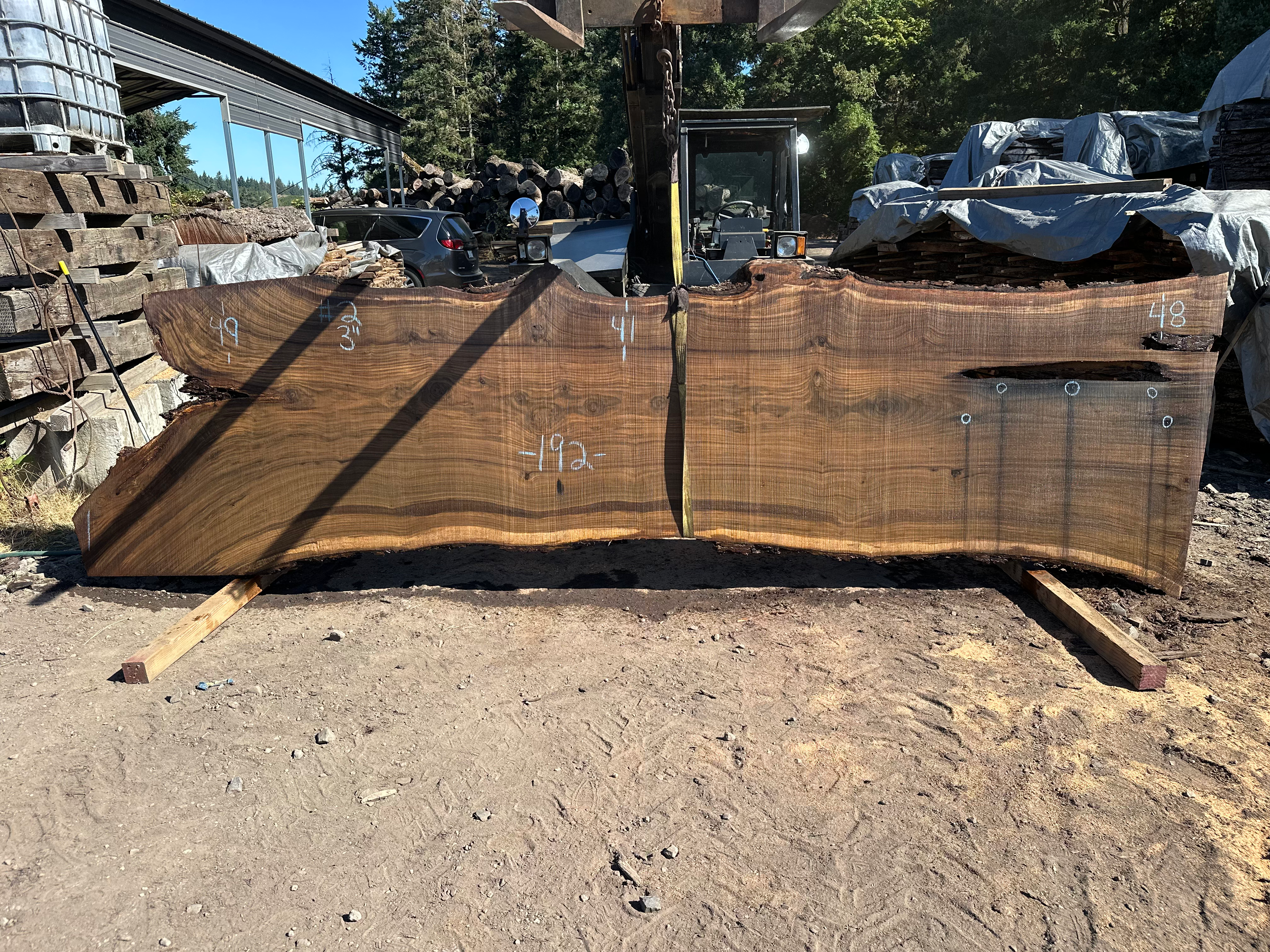 Black Walnut 081125-2